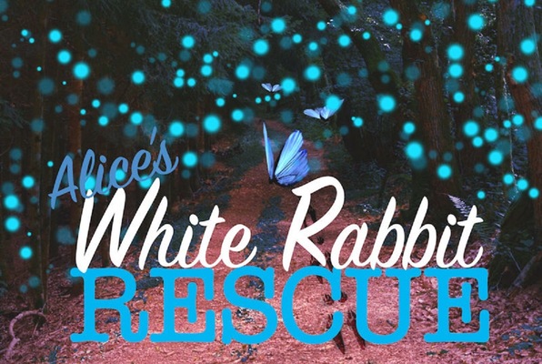 Alice's White Rabbit Rescue (Twisted Room Escapes) Escape Room