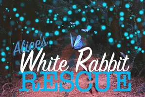 Alice's White Rabbit Rescue