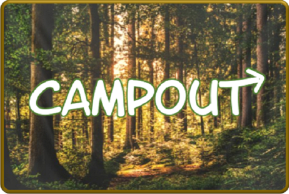 Campout (Think It Out Escape Rooms and Mental Gymnastics) Escape Room