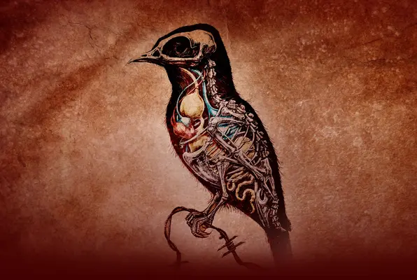 The Menagerie (Level Games) Escape Room