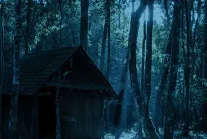 The Cabin
