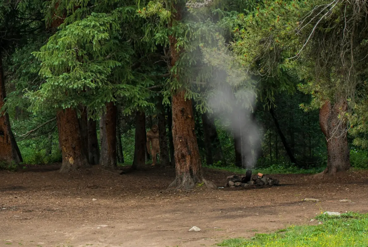 The Campsite