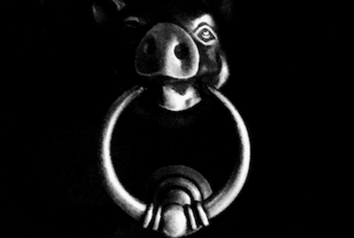 The Blind Pig