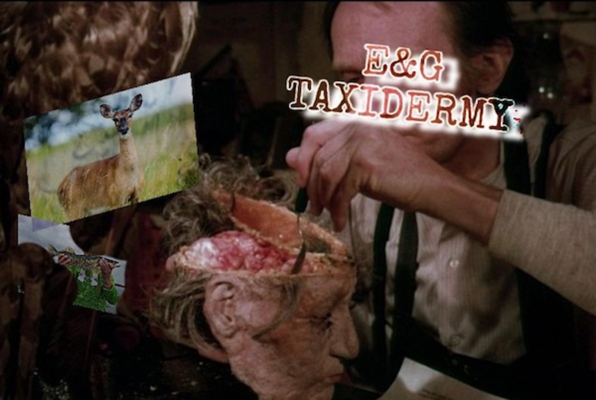 E&G Taxidermy
