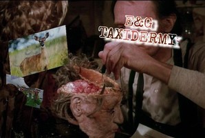 Квест E&G Taxidermy