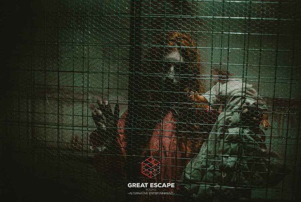 The Basement’s Secret (Great Escape Rooms) Escape Room