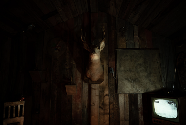 The Woodsman