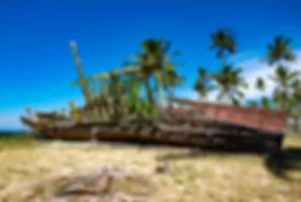 Castaway (Tropic Escape) Escape Room