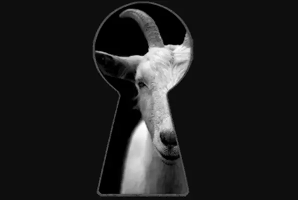 Hennes (AdventureRooms Köln) Escape Room