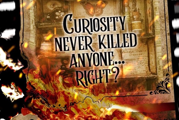 D'Vile's Curio Shoppe (Mystery Mansion) Escape Room
