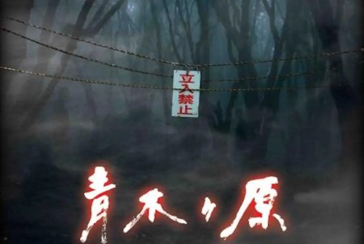 Aokigahara