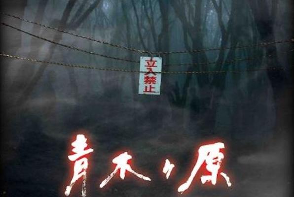 Aokigahara (Lost Australia Station) Escape Room