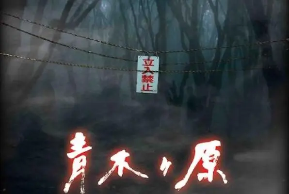 Aokigahara (Lost Australia Station) Escape Room