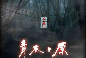 Aokigahara