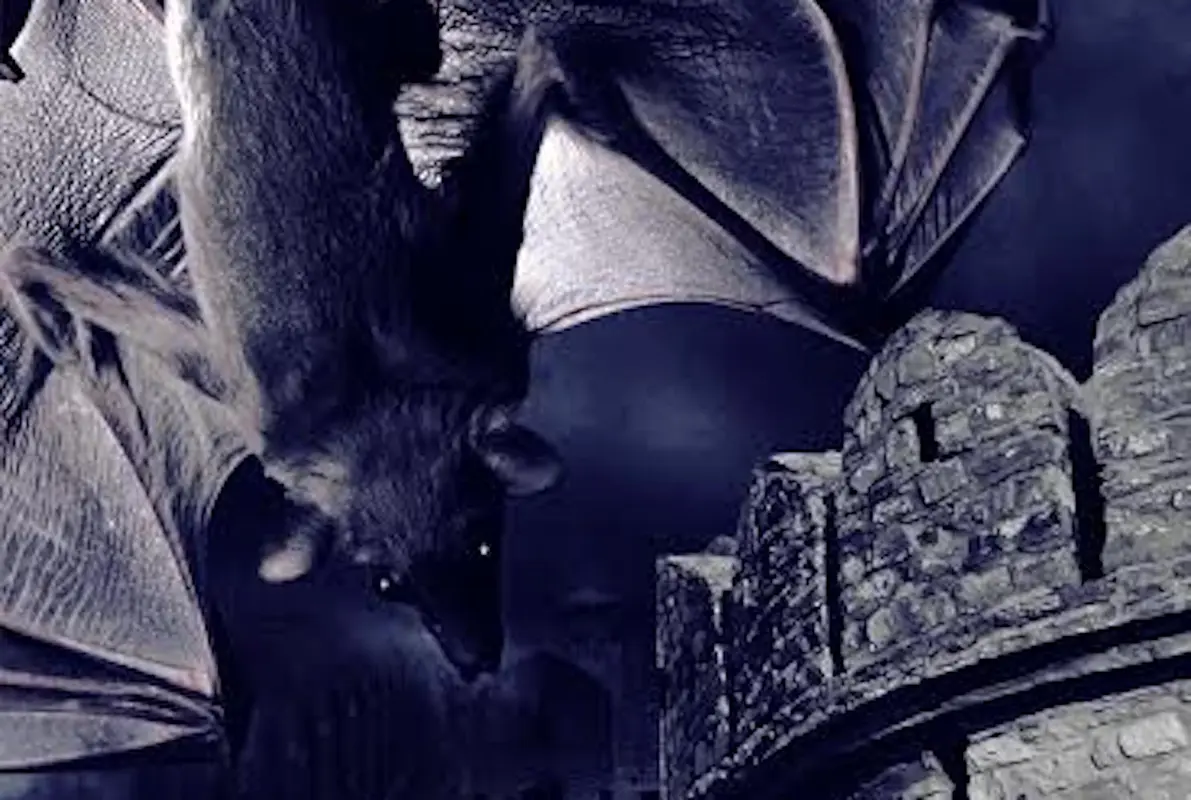 A Night in Bhangarh