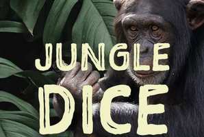 Квест Jungle Dice