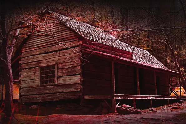 Cabin In The Woods