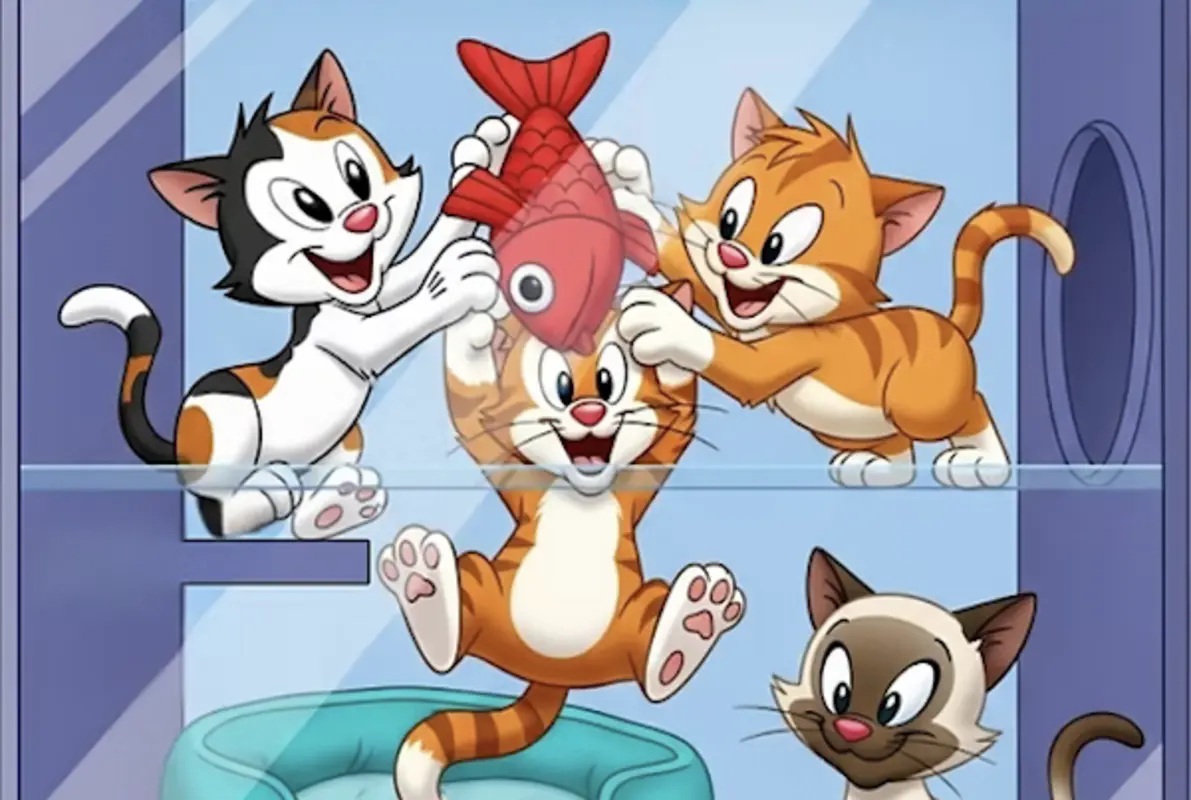 Meow! I'm a cat
