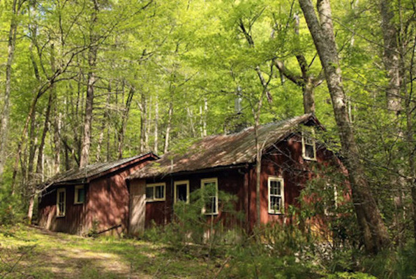 The Cabin