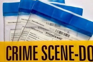 Квест CSI New York