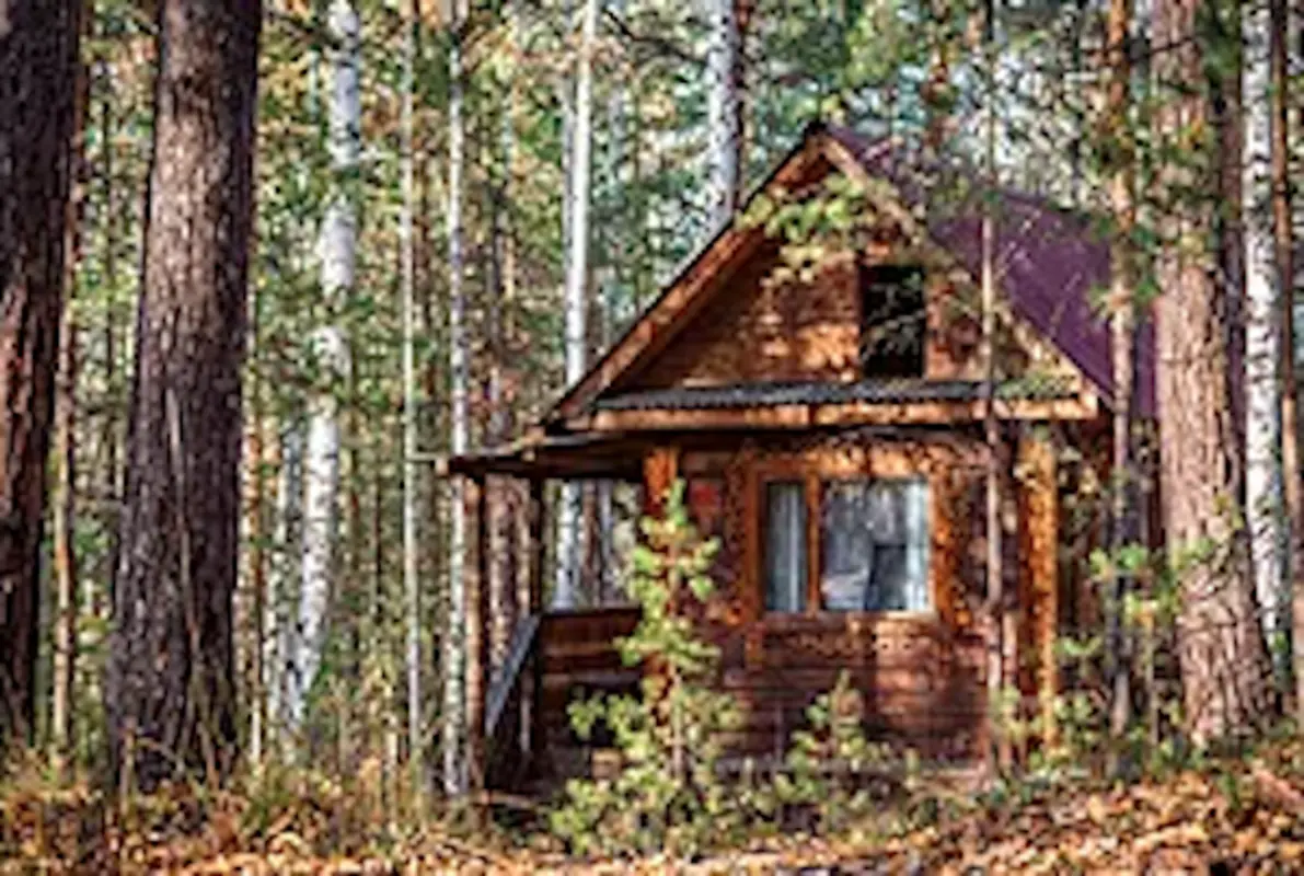 The Cabin