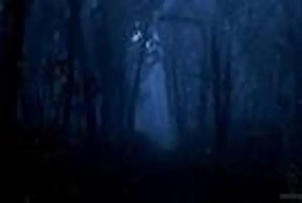 The Wisp in the Wild Wood (Fantasy Escape Room) Escape Room