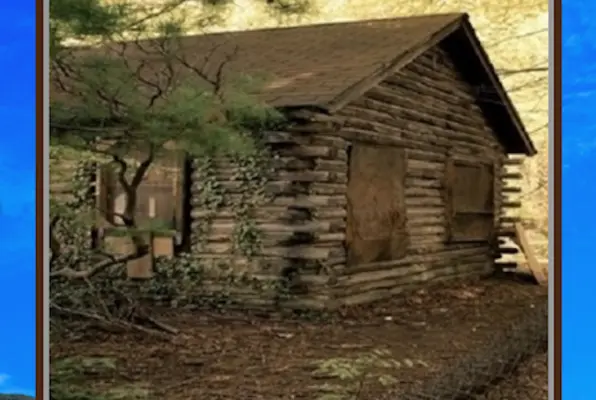 The Lost Cabin (Every Second Counts ESC) Escape Room