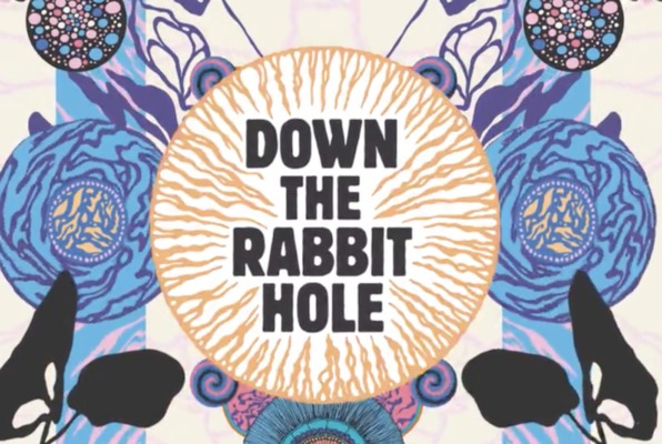 Down the Rabbit Hole