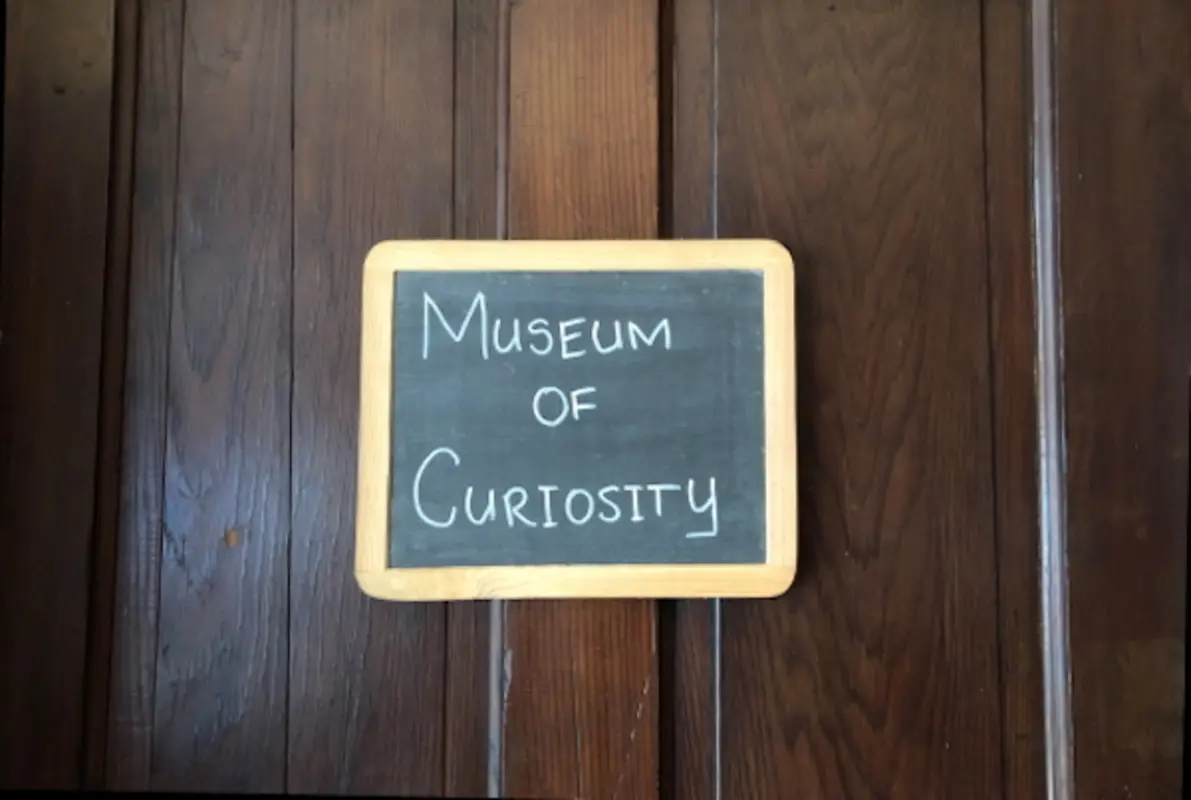 The Museum of Curiosity