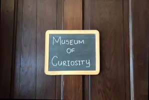 The Museum of Curiosity