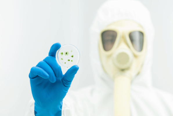 Virus Lihte (Locus Fugae) Escape Room