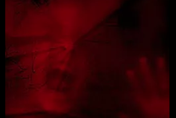 Claustrophobia (Challenge the Room) Escape Room