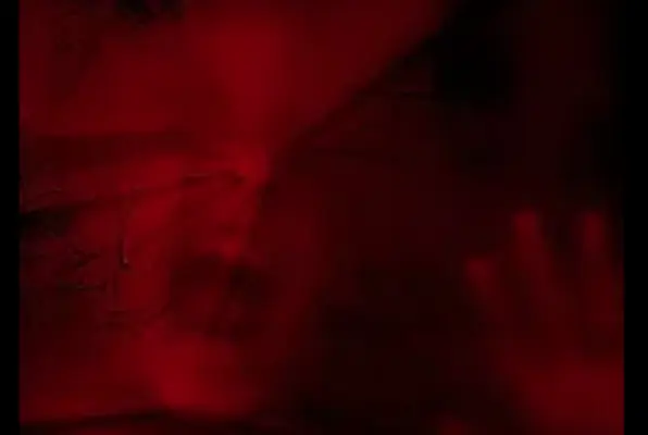 Claustrophobia (Challenge the Room) Escape Room