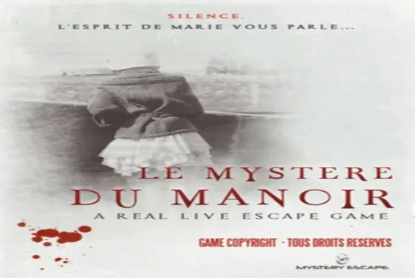 Le Mystère du Manoir (Mystery Escape) Escape Room
