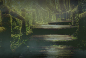 Квест Die Expedition