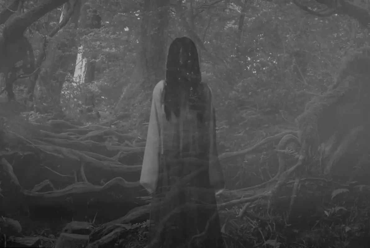 The Suicide Forest