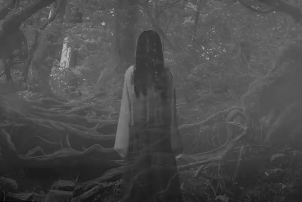 The Suicide Forest (Time Alive Roma) Escape Room