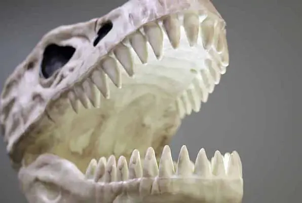 Dinosaur Detective (Intrigue Escape Games) Escape Room