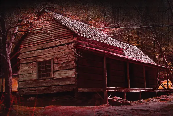 Cabin In The Woods (Mystery Rooms Surat) Escape Room