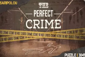 The Perfect Crime