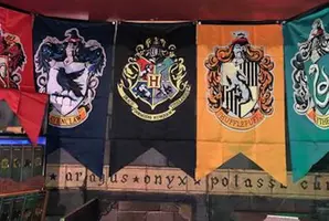 HP e la Camera Degli Enigmi