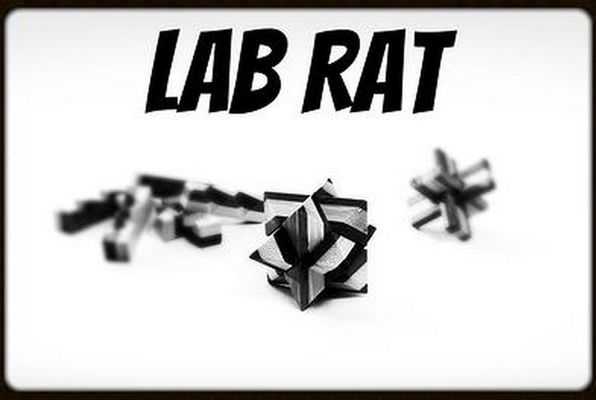 Lab Rat