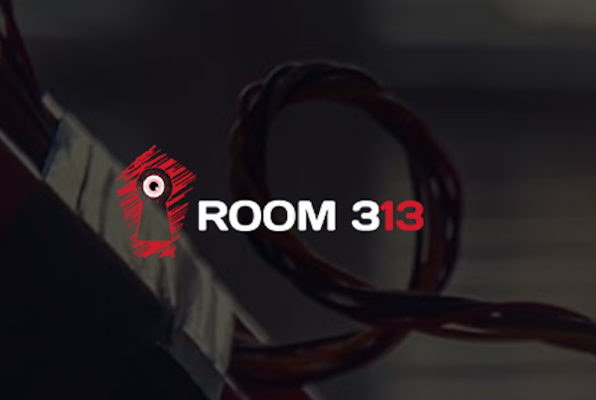 Room 313