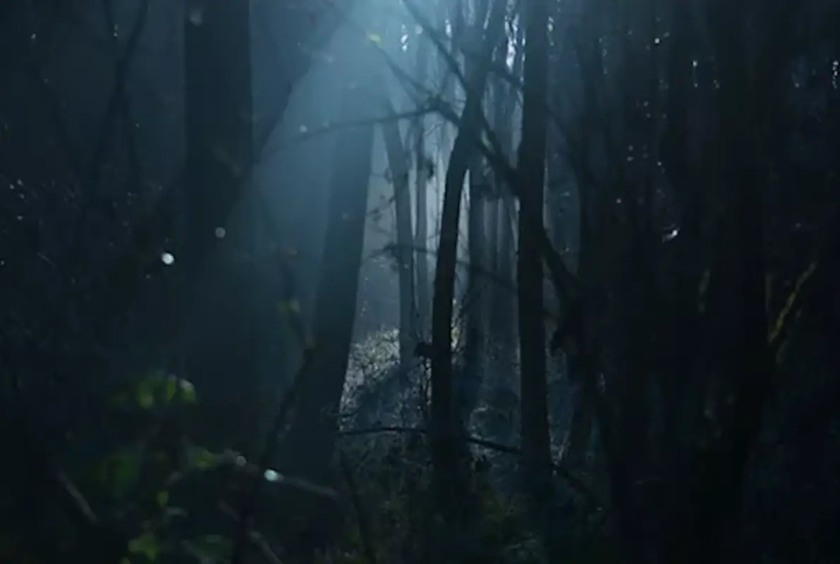 The Hunted: The Hollow Grove Ripper