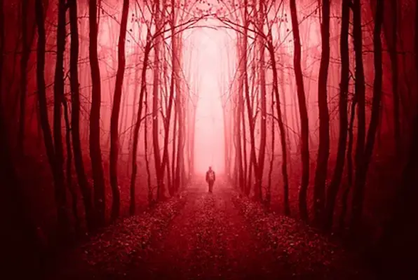 Paranoia and Possession: The Horrors of Camp Kray (Escape Woods) Escape Room