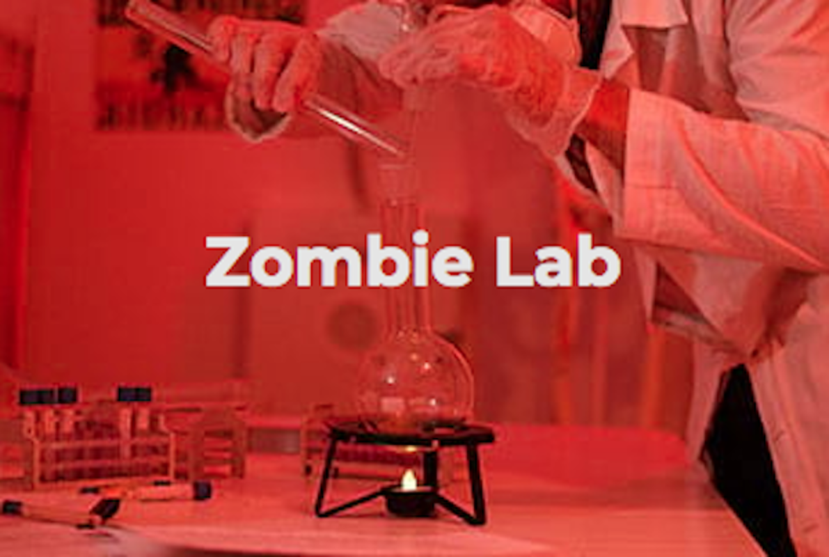 Zombie Labor