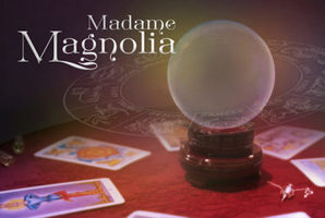 Квест Madame Magnolia