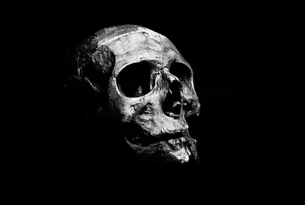 Hulluuden Merkit (Esc-Room Vantaa) Escape Room