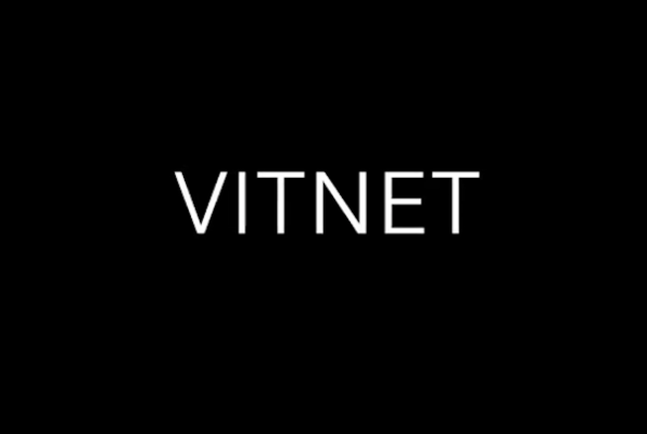 Vitnet