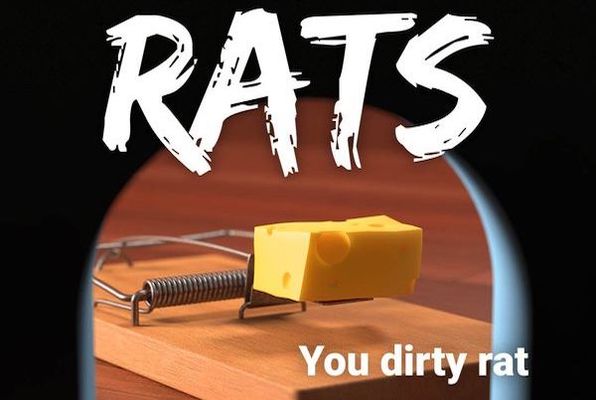 Rats (Boda Borg Boston) Escape Room